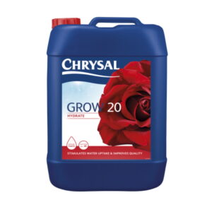 Chrysal
